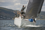 animal gbr3627kip15 0942w